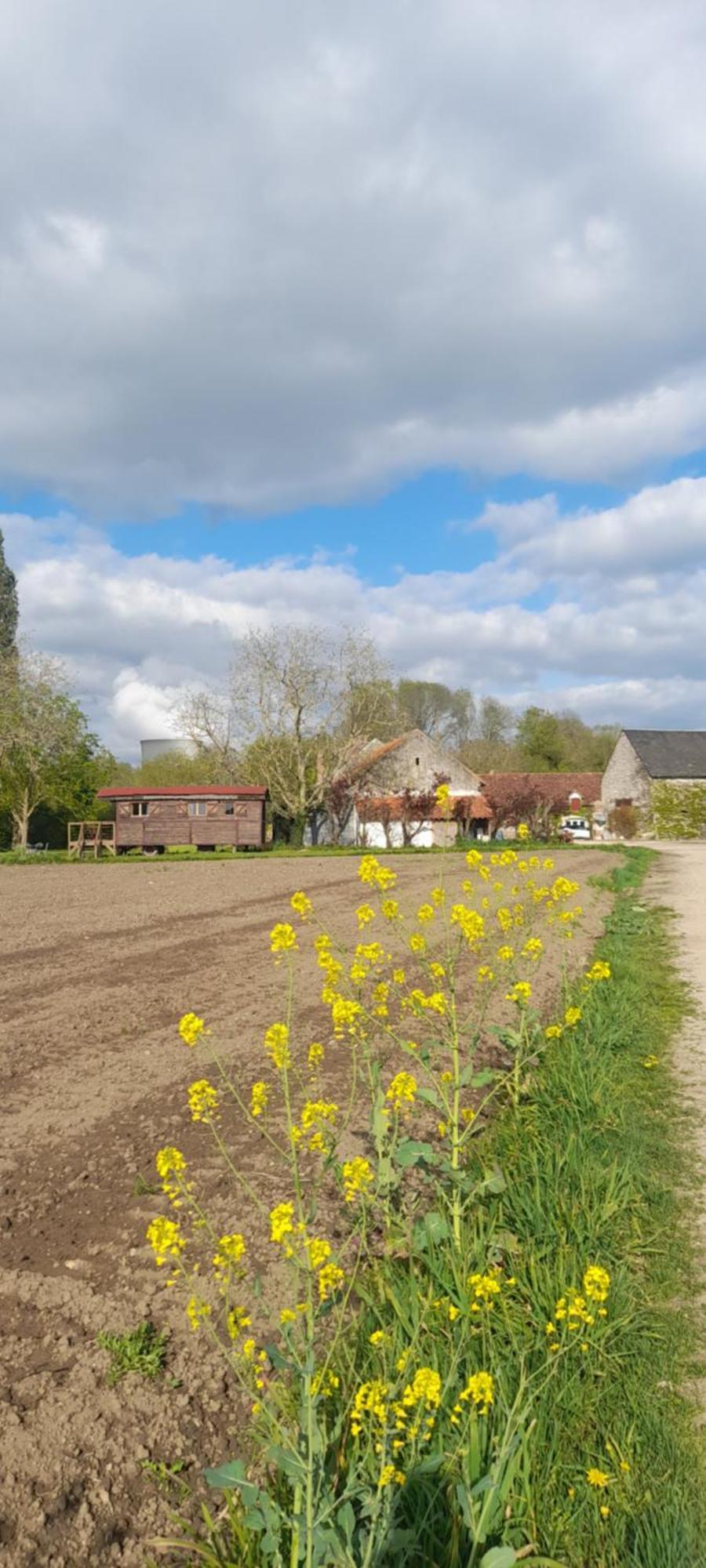 Bed and Breakfast La Ferme De L'Isle Et Sa Roulotte Avaray Exterior foto
